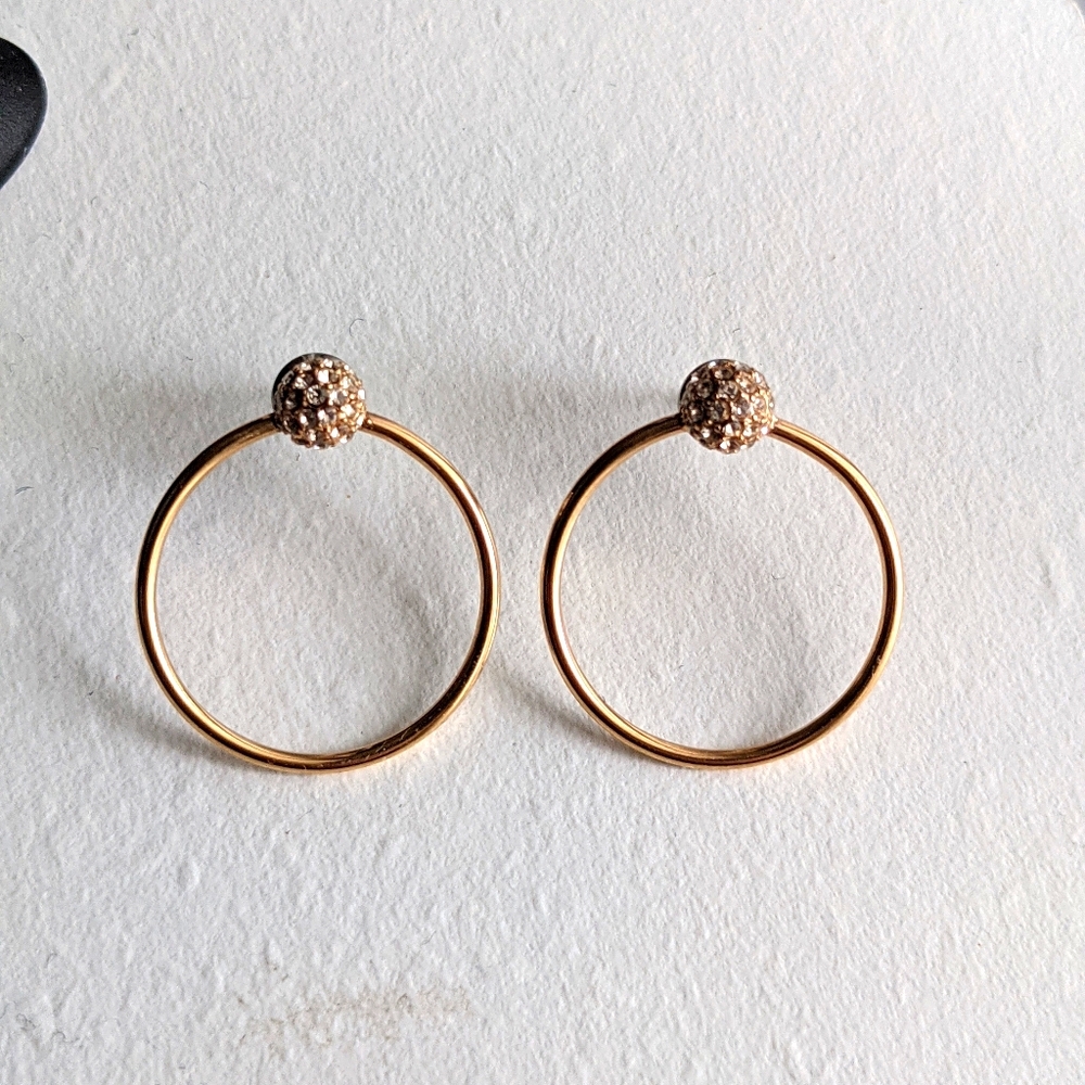 Fossil Gold Earrings